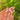 Pastel Bloom Vase pearl almond nails with peach-pink gloss, pearl-like beads and gold accents.